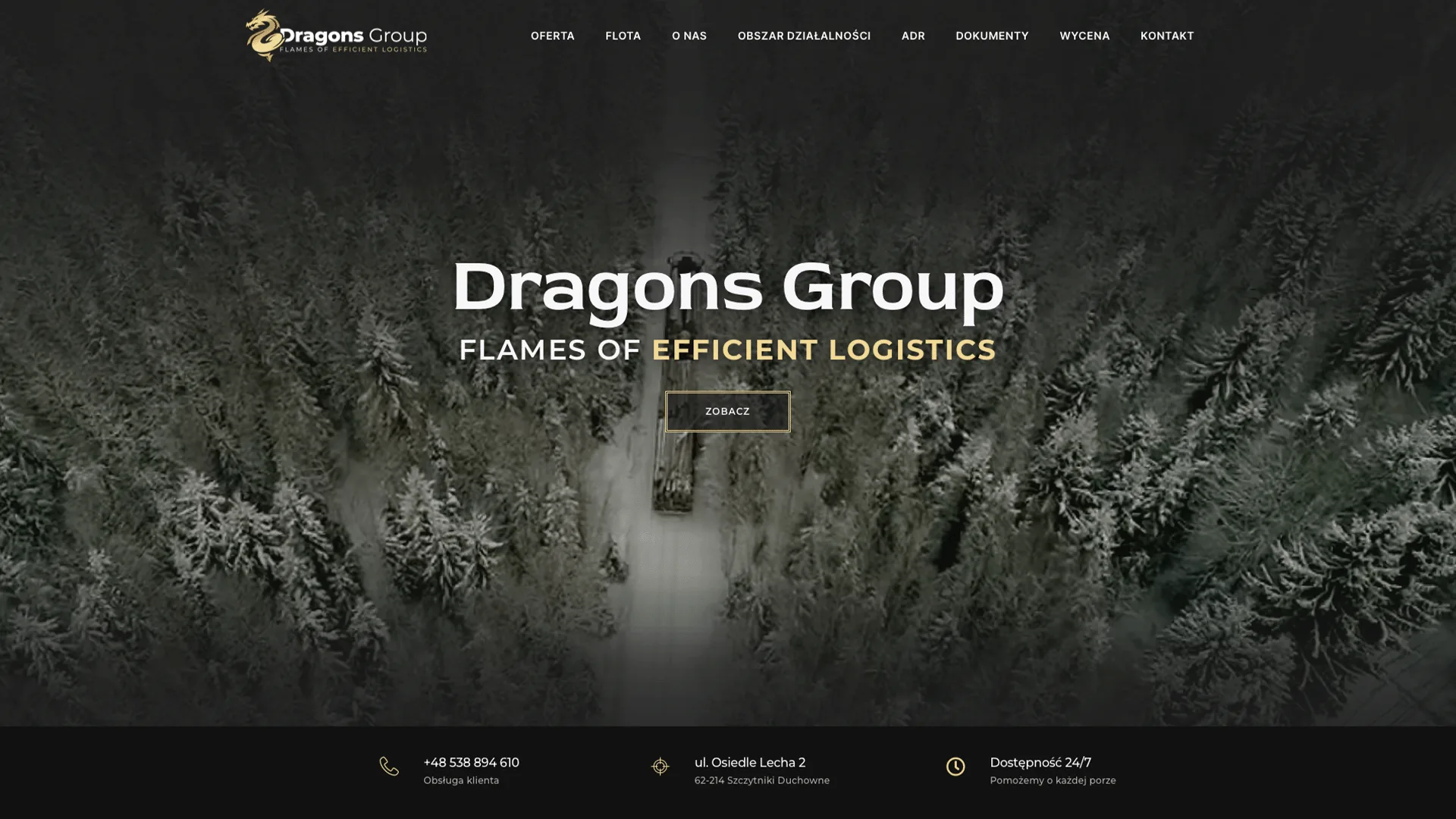 Dragons Group - zrzut 01